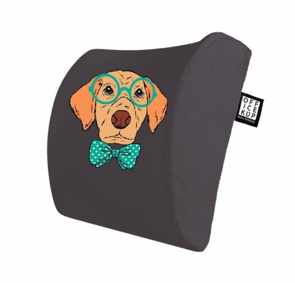 Memory Foam Lumbar Support Back Pillow for Office Chair
