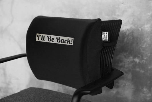 Memory Foam Lumbar Support Back Pillow for Office Chair